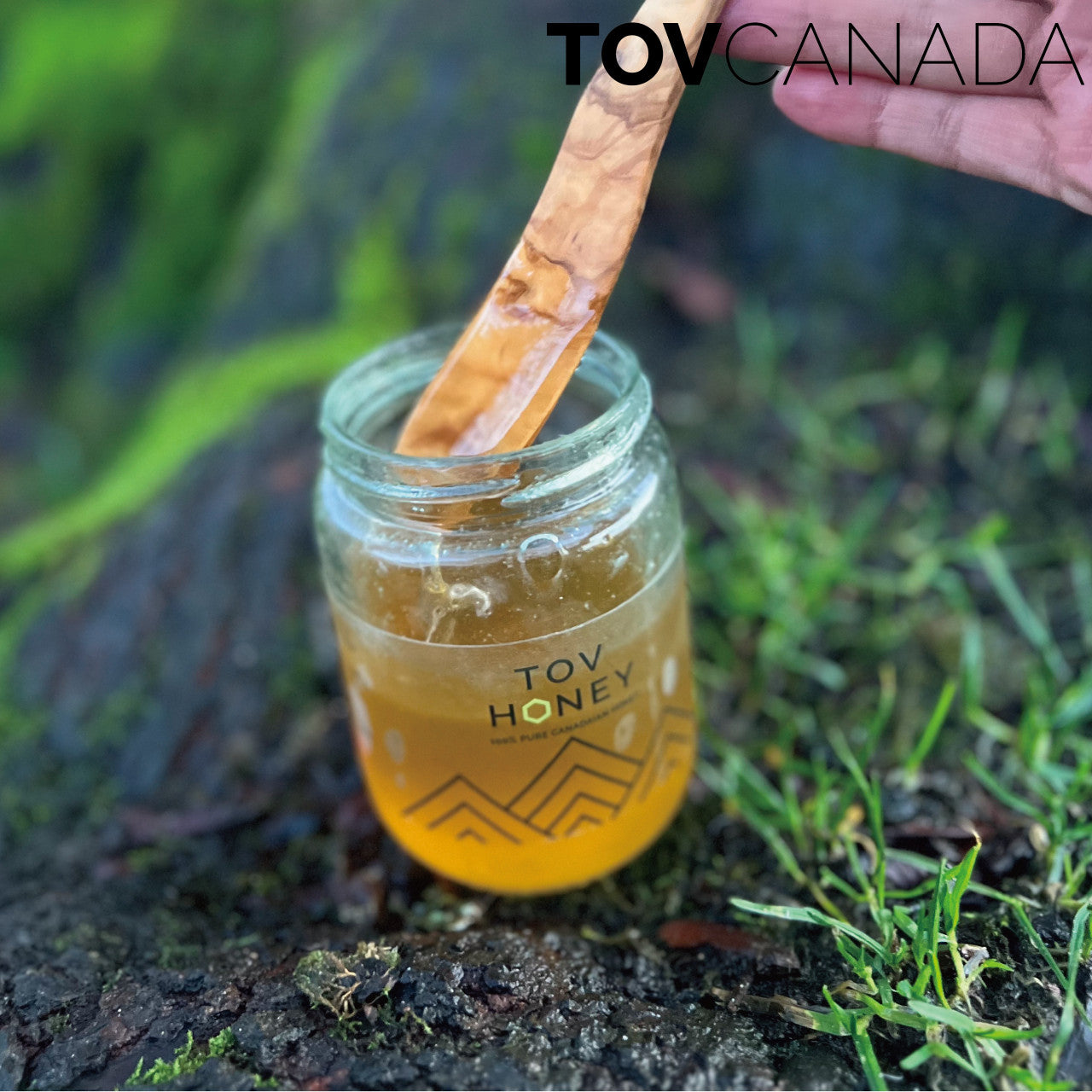 DANDELION HONEY 500G